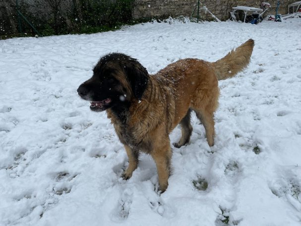 Only You des Neuf Grains d'Or dite Leeloo